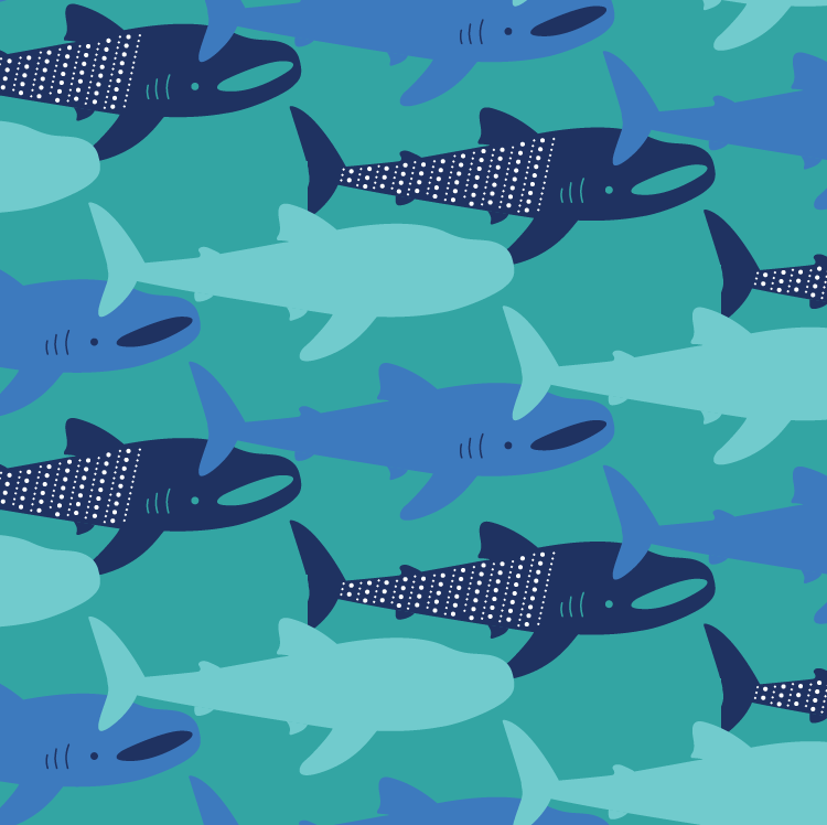 Kids Whale Shark Adventure Shirt *PRE-ORDERS*